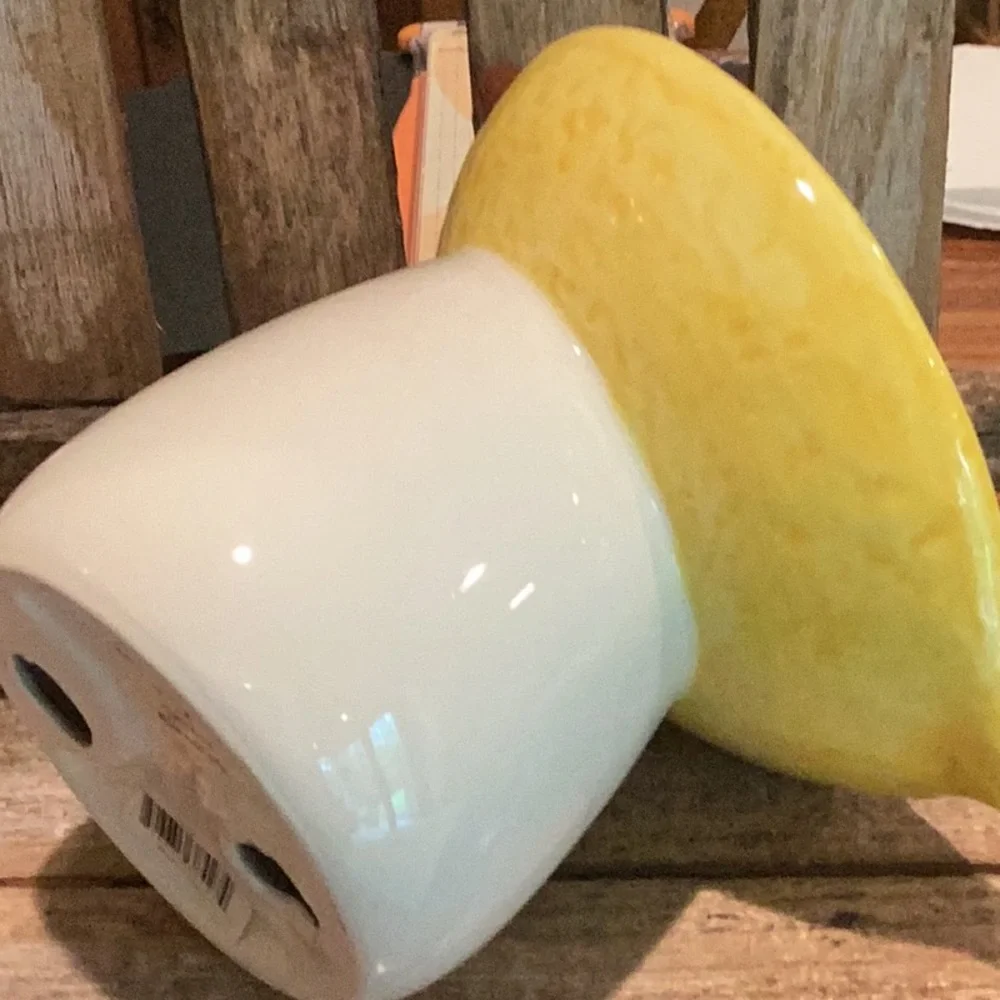 Lemon Pet Bowl
